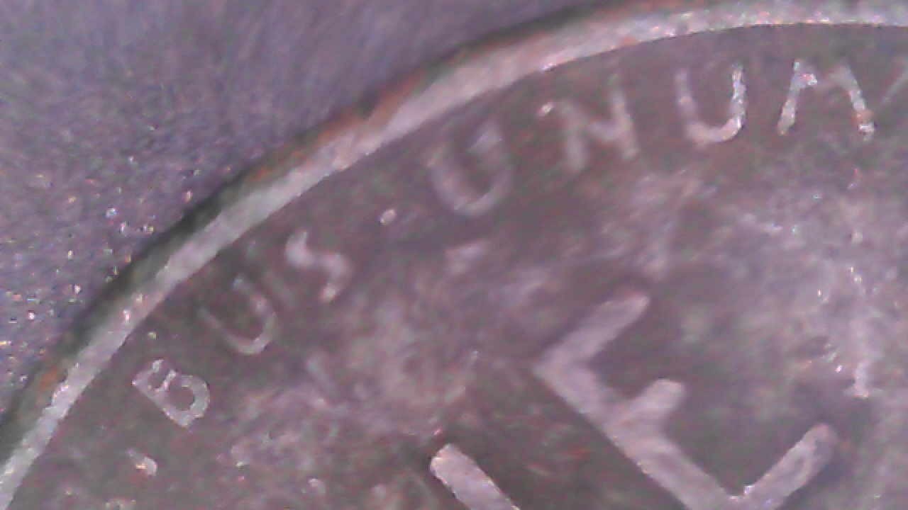 1910 P Wheat Penny