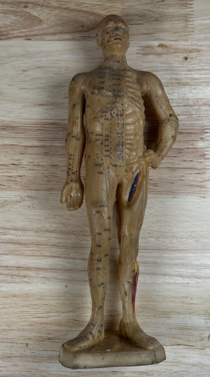 Vintage Human Body Chinese Acupuncture Acupressure Medical Anatomy 10.5” Rubber