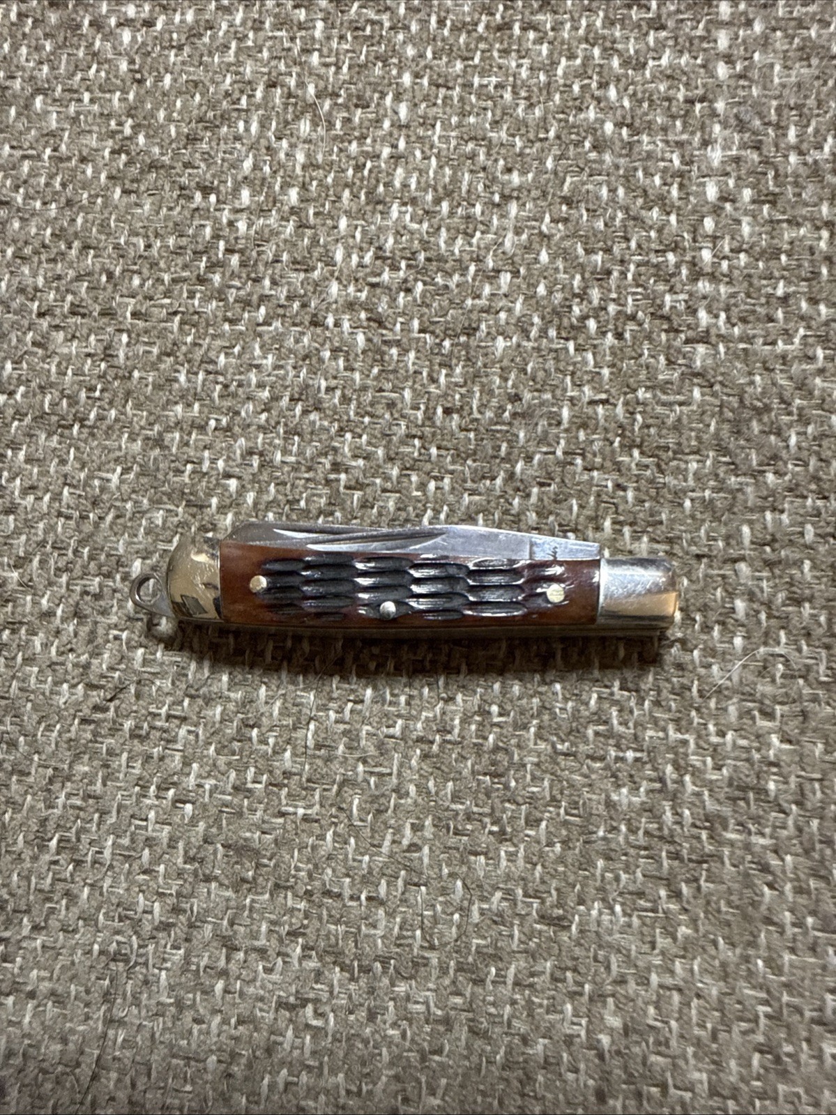 Rough Rider Tiny Trapper Amber Bone RR807 Stainless Folding Knife