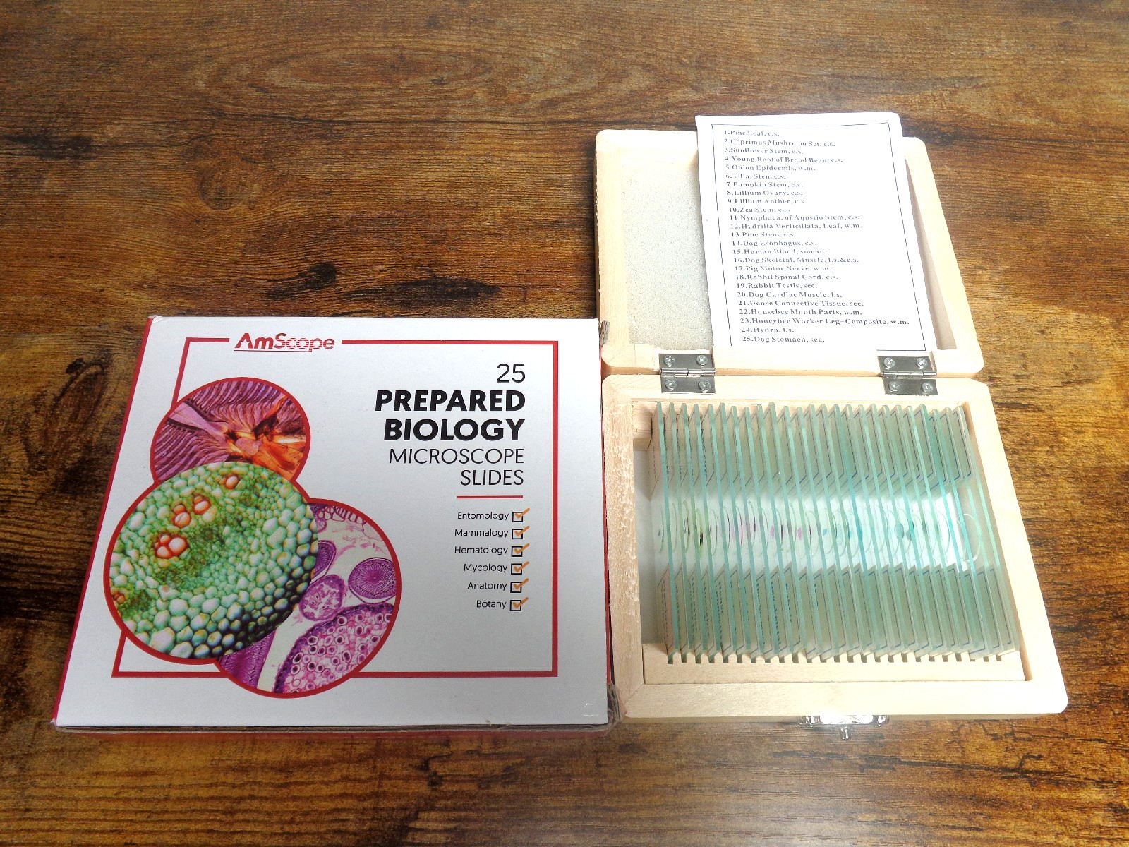 Amscope 25 Prepared Biology Microscope Slides w/ Hard Wood Slide Case