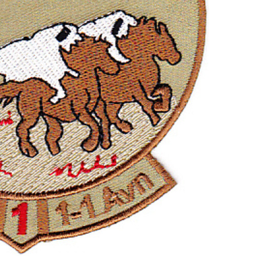 1st Battalion 1st Aviation Regiment C Company Patch