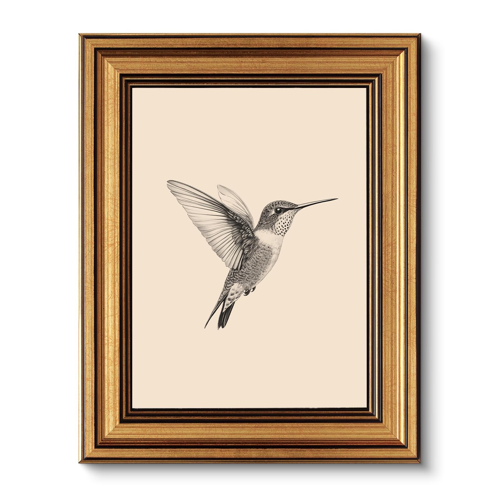VIYYIEA Vintage Gold Framed Wall Art, Sketch Birds 10"L x 8"W, 【Hummingbird】