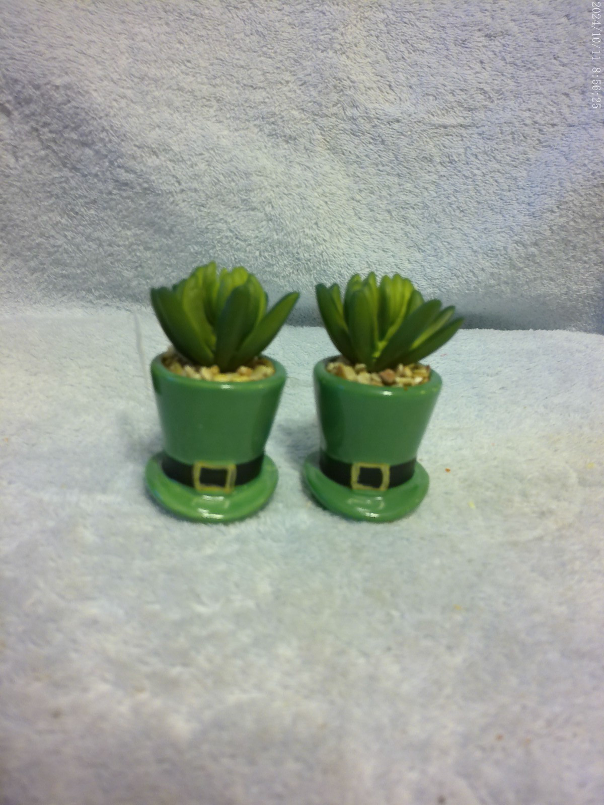2 St. Patrick's Day Leprechaun Hat Succulent New No Box Or Tag Approx. 3.5" Tall