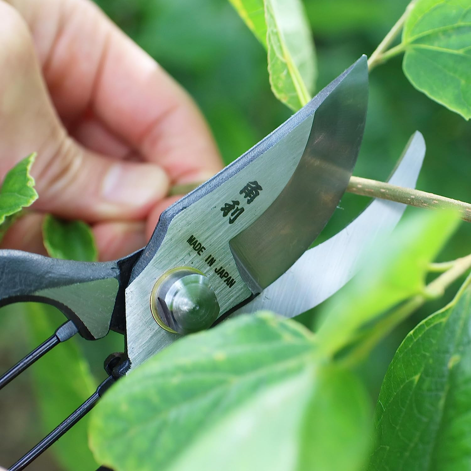 Japanese Pruning Shears for Gardening Heavy Duty 8", Made in JAPAN, Professional