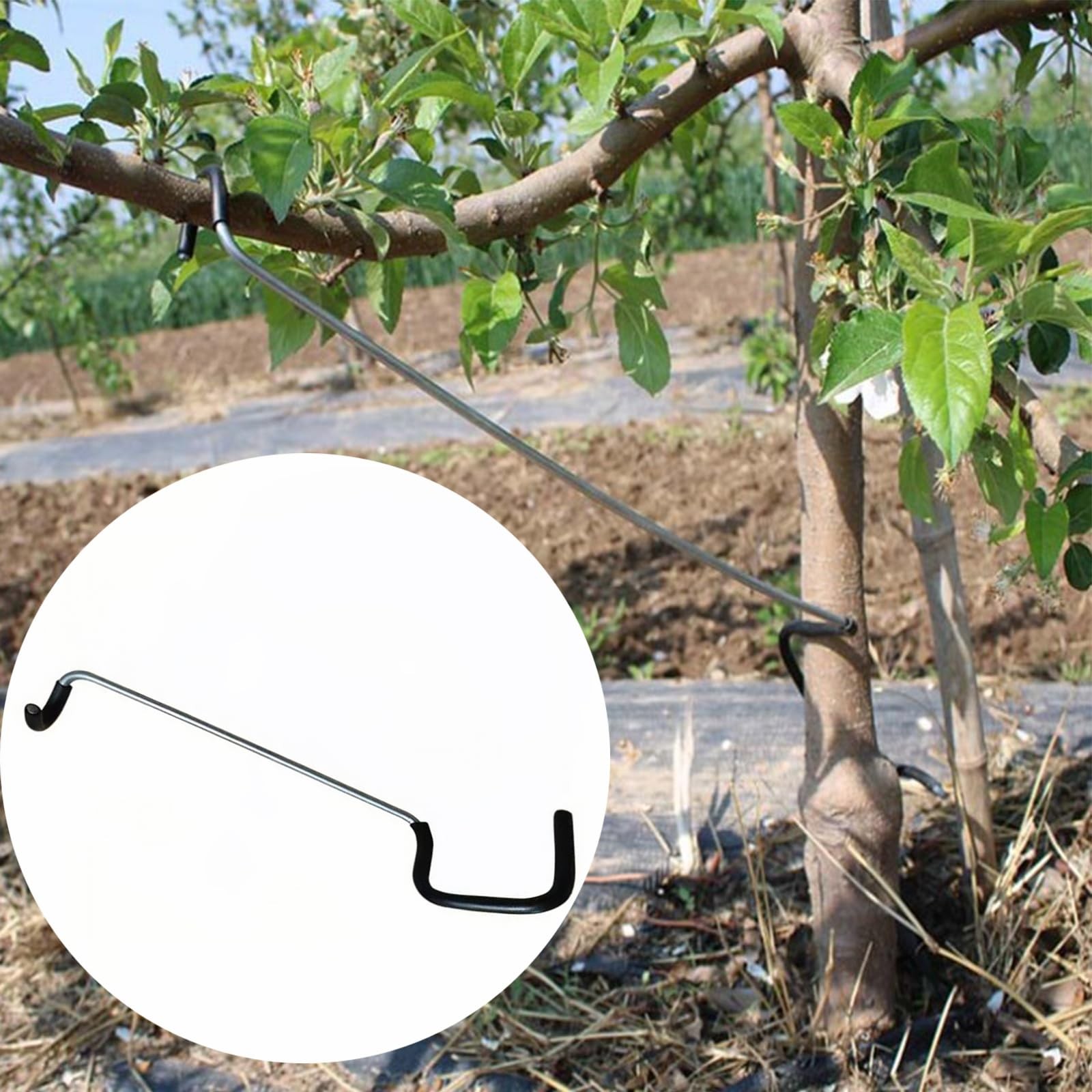 10 PCS Fruit Tree Branch Spreader 14 Inches Limb Support Extension Durable