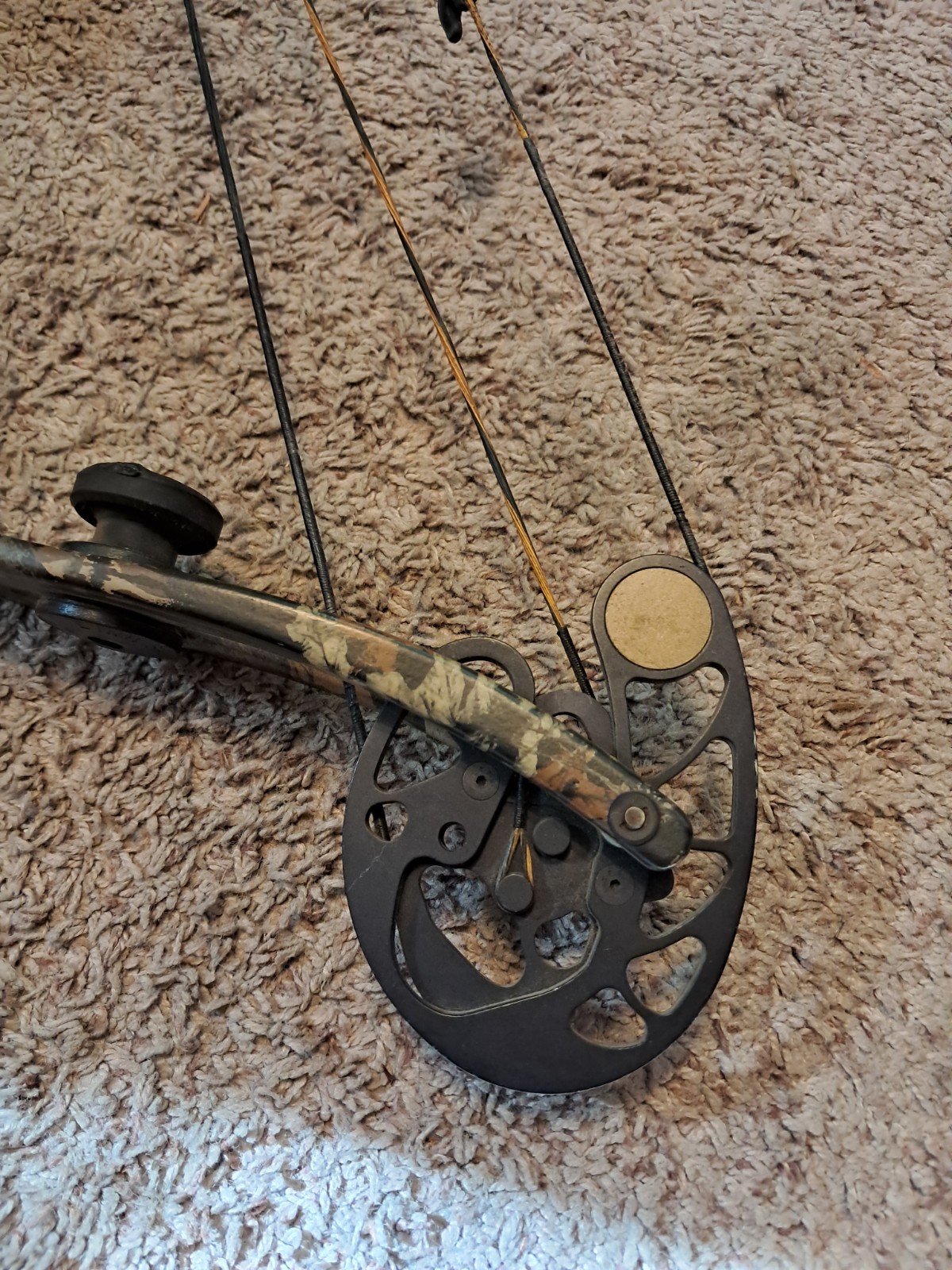 Golden Eagle SplitFire Right Hand Compound Bow 90lb / 29" Draw Length