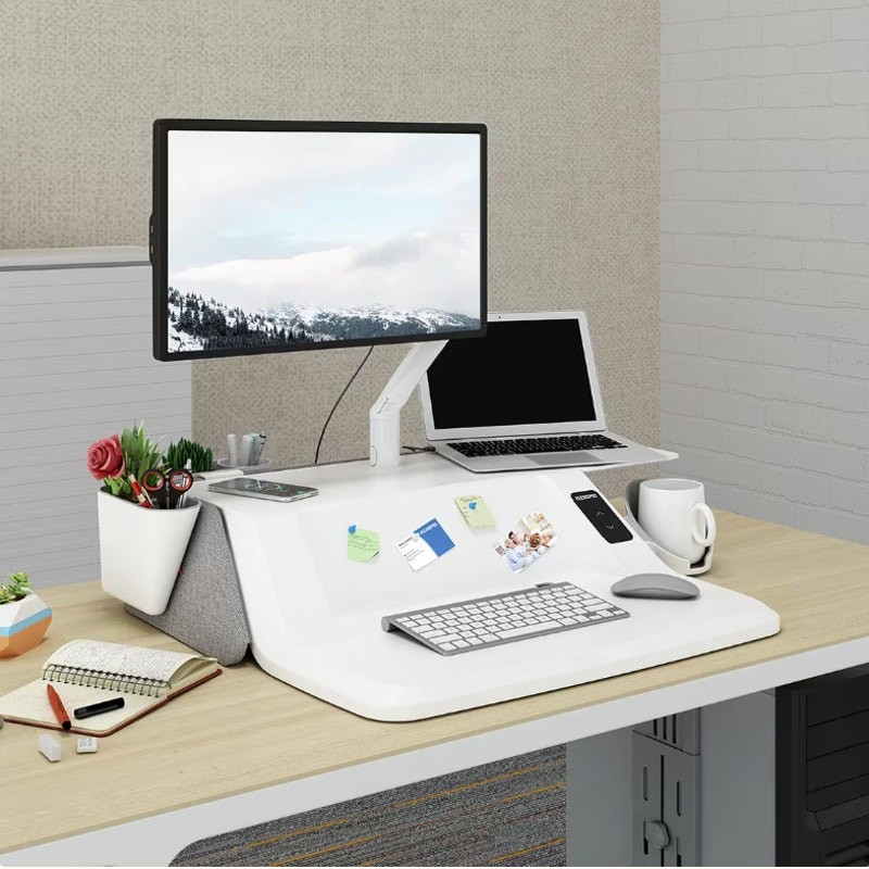 FlexiSpot Motorized Aesthetic Sit-Stand 30" Workstation with Side Storage EM6M