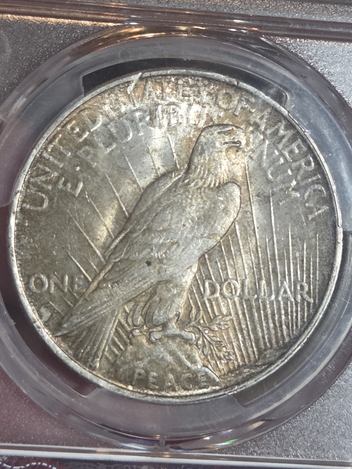 1923 $1 Peace Dollar PCGS MS62 Toned