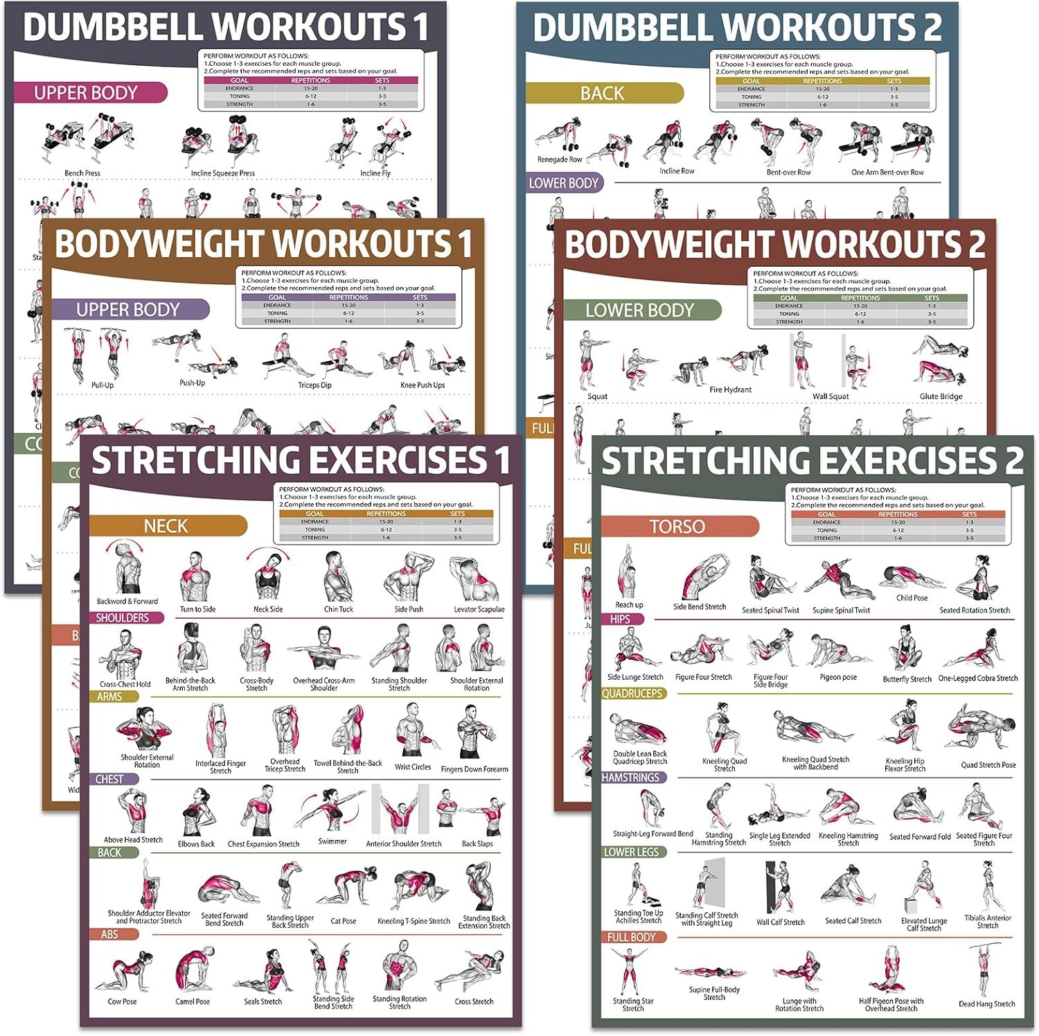Workout Posters for Home Gym Dumbbell Retro 6 Pcs 17 x 12.6 inches