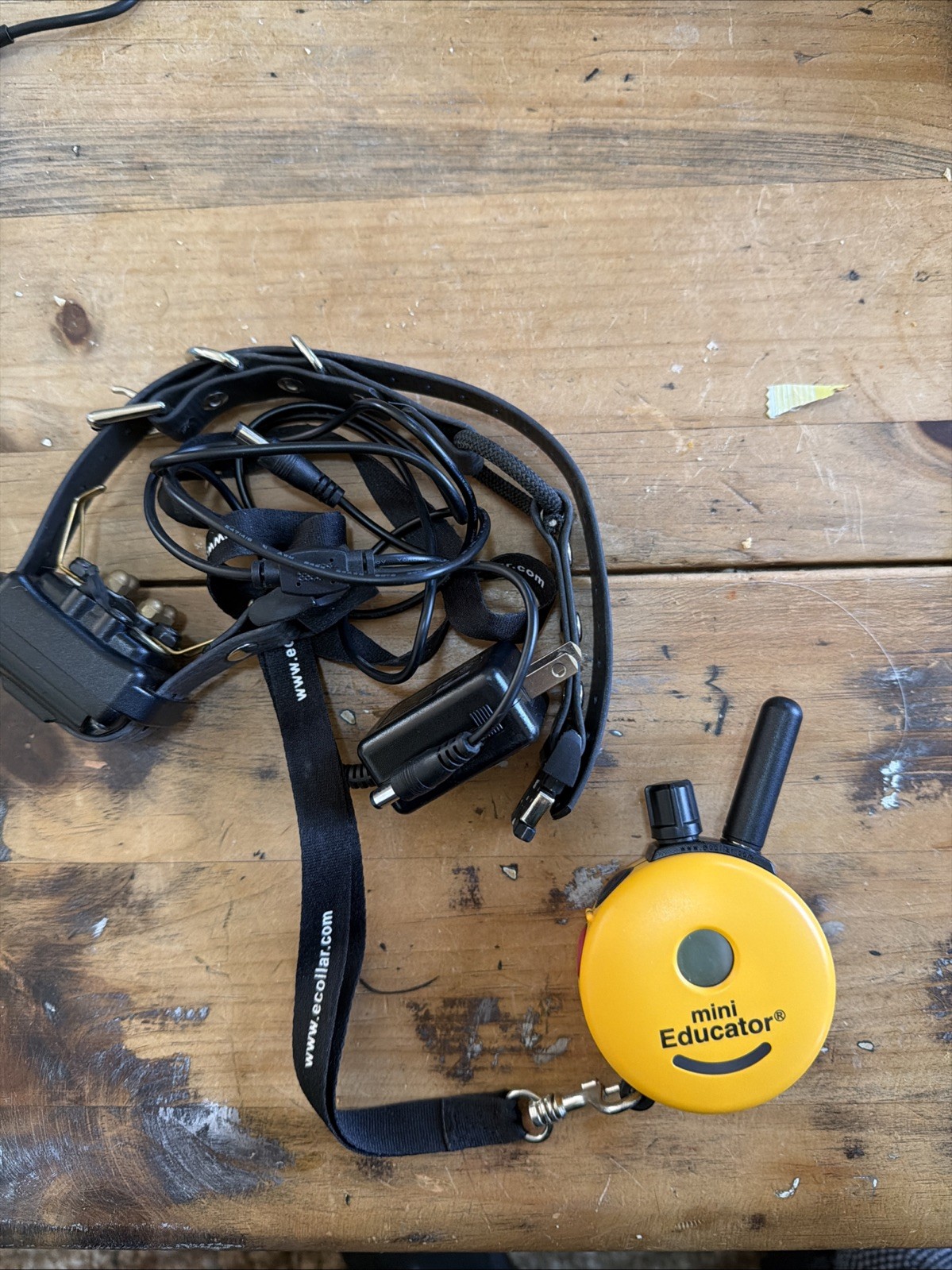 E-Collar Technologies ET-300 Mini Educator Dog Training Collar