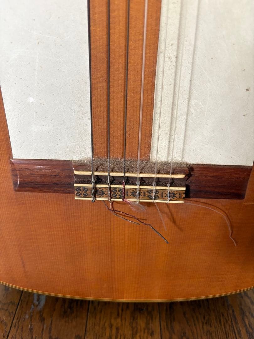Den-en Classical Guitar