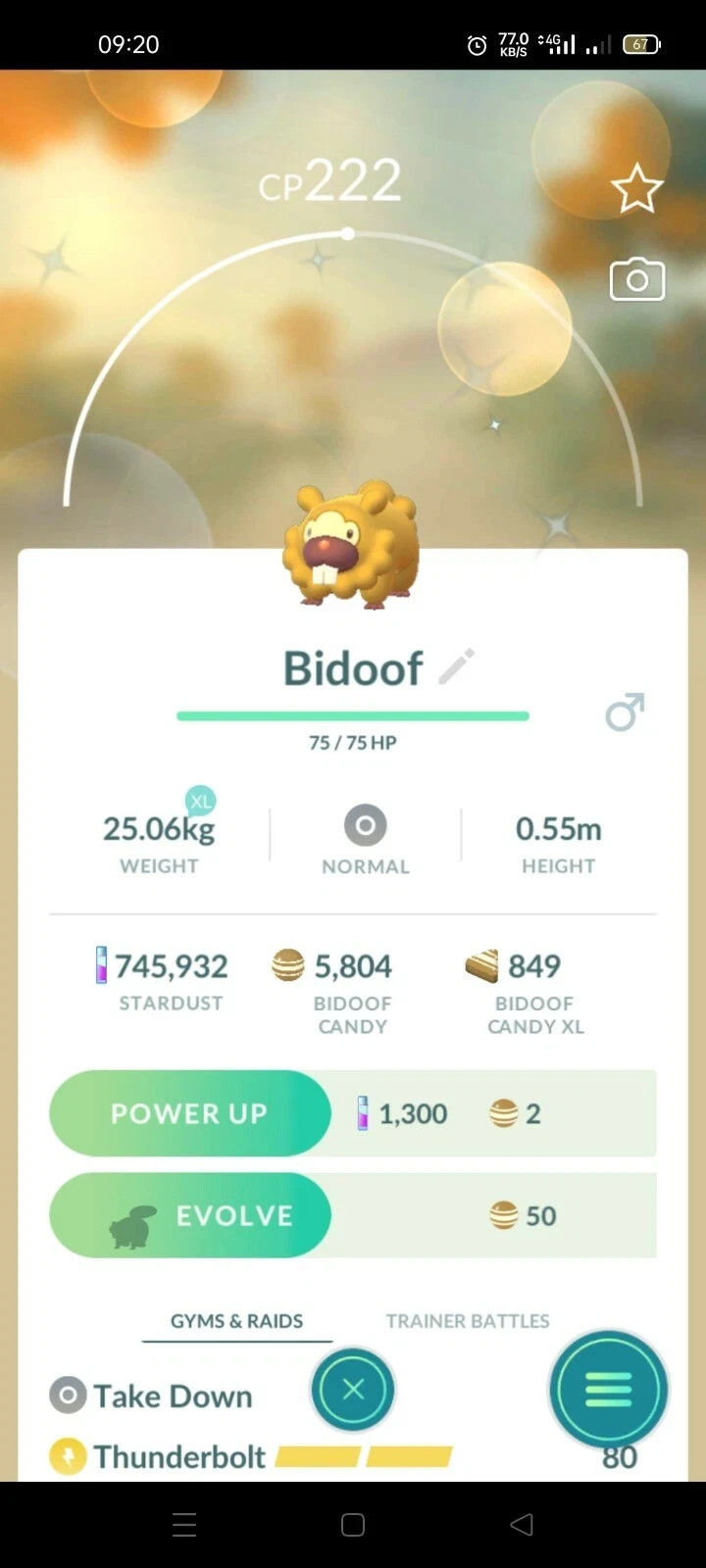 Shiny Bidoof  Pokemon Ultra Friends / Registered Go