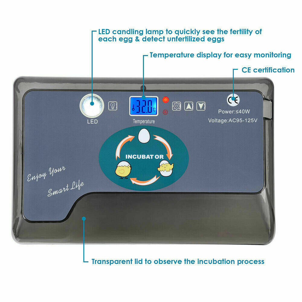 12 Eggs Mini Visual Egg Incubator Digital Egg Incubator w/Automatic Turning