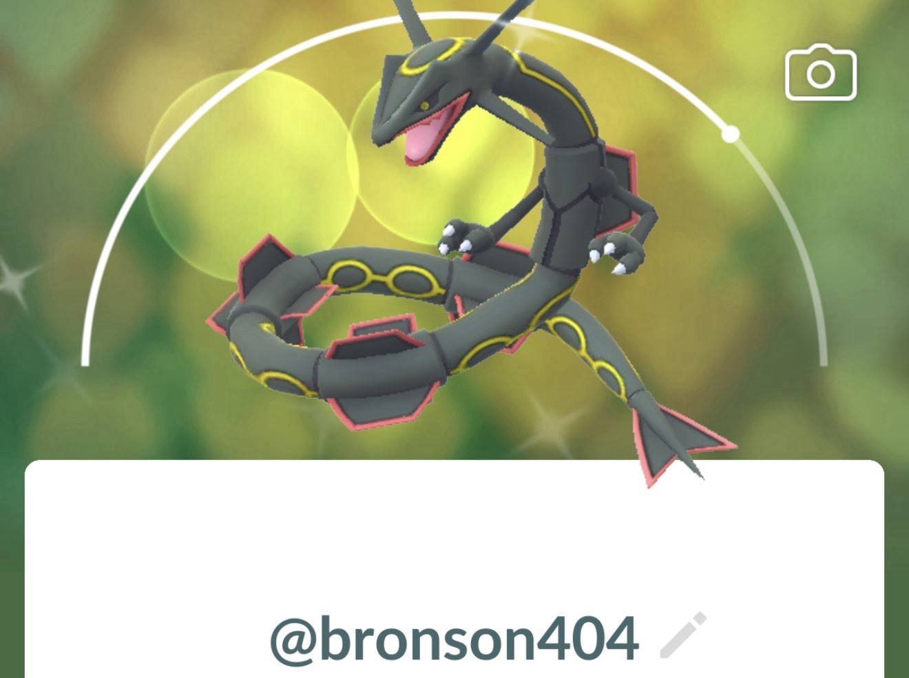 Pokemon Shiny Rayquaza ✨ 1 Million SD✨ TR—ADE