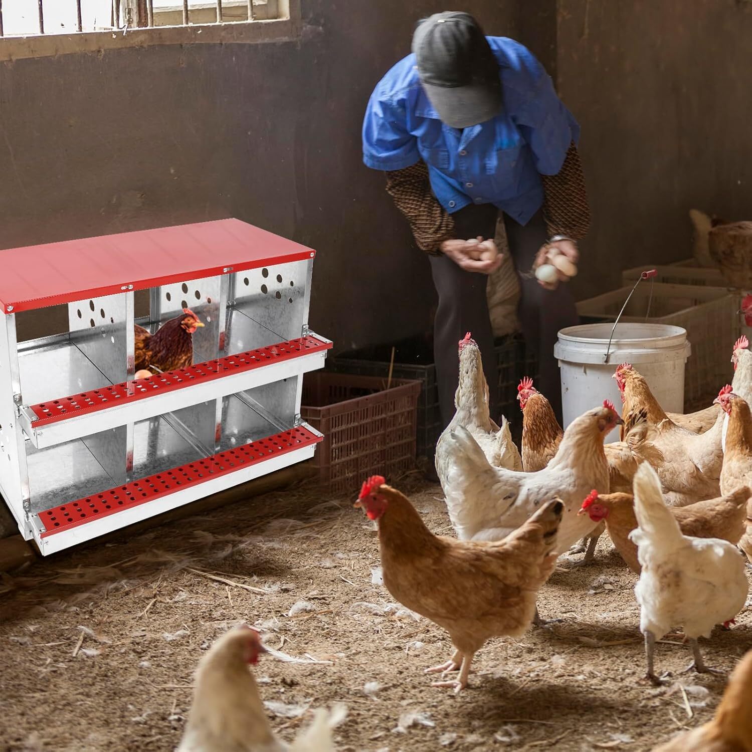 Chicken Nesting Box Hen Laying Boxes Roll Away Nesting Box for Laying Egg 6 Hole