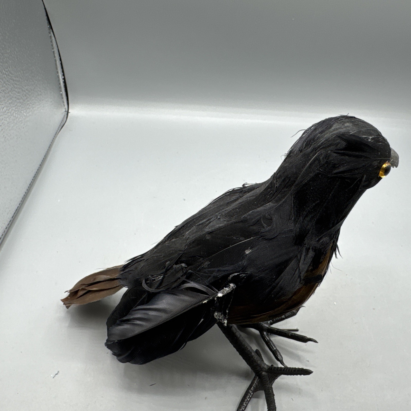 5 PCS Black Feathered Crows Halloween Ravens