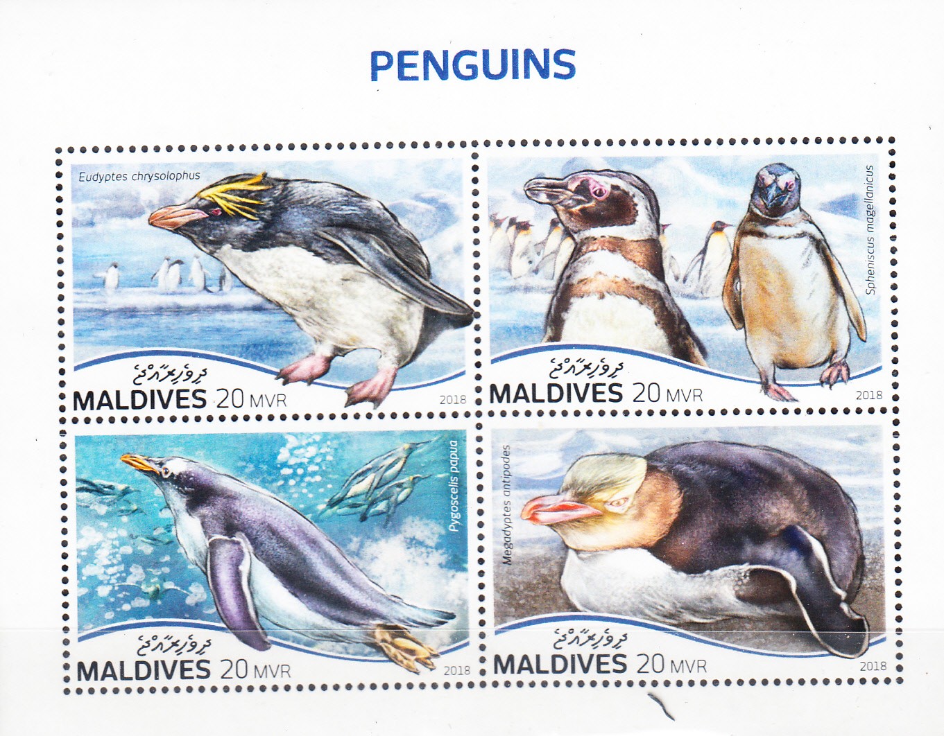 W MALDIVES Y2018 (1) PENGUINS