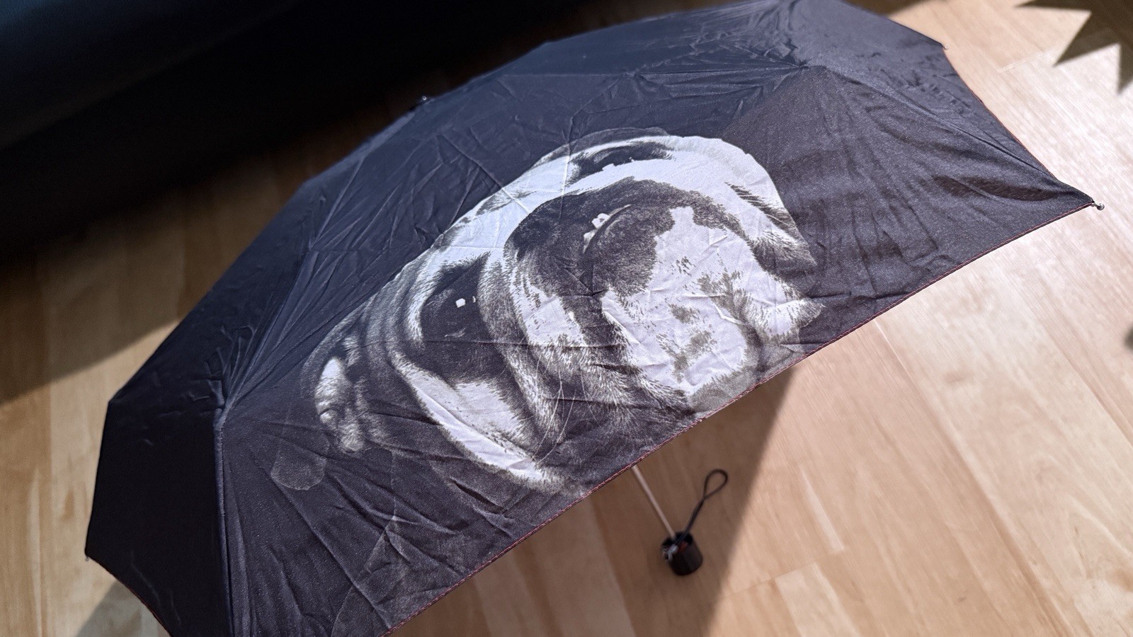 Fuzzy Nation Umbrella & Case Dog Lover