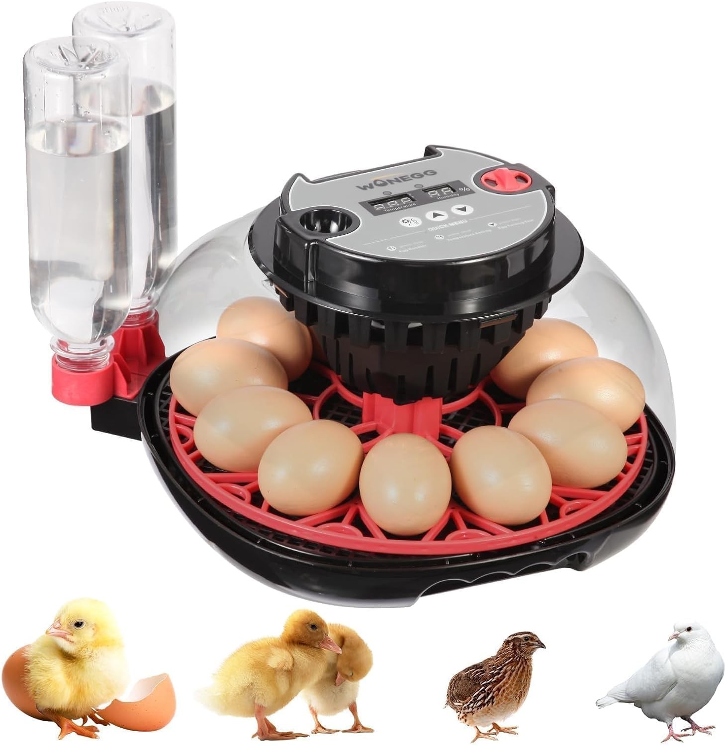 12 Egg Incubator with Automatic Turning, Humidity Control, LED Egg Candler, and