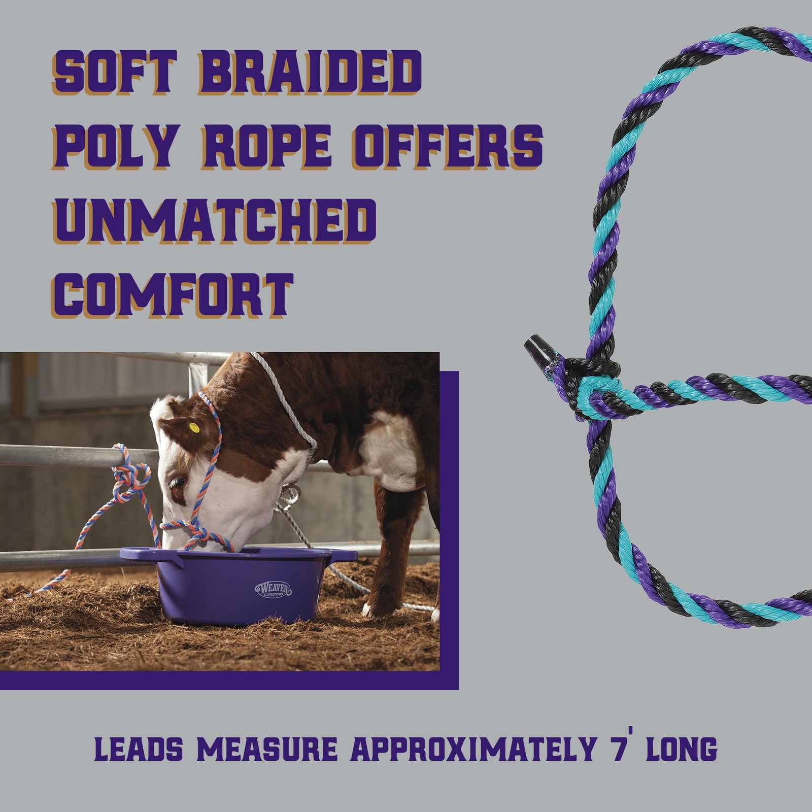 Weaver Livestock Adjustable Multicolored Rope Cattle Halter with 7 Foot Lead