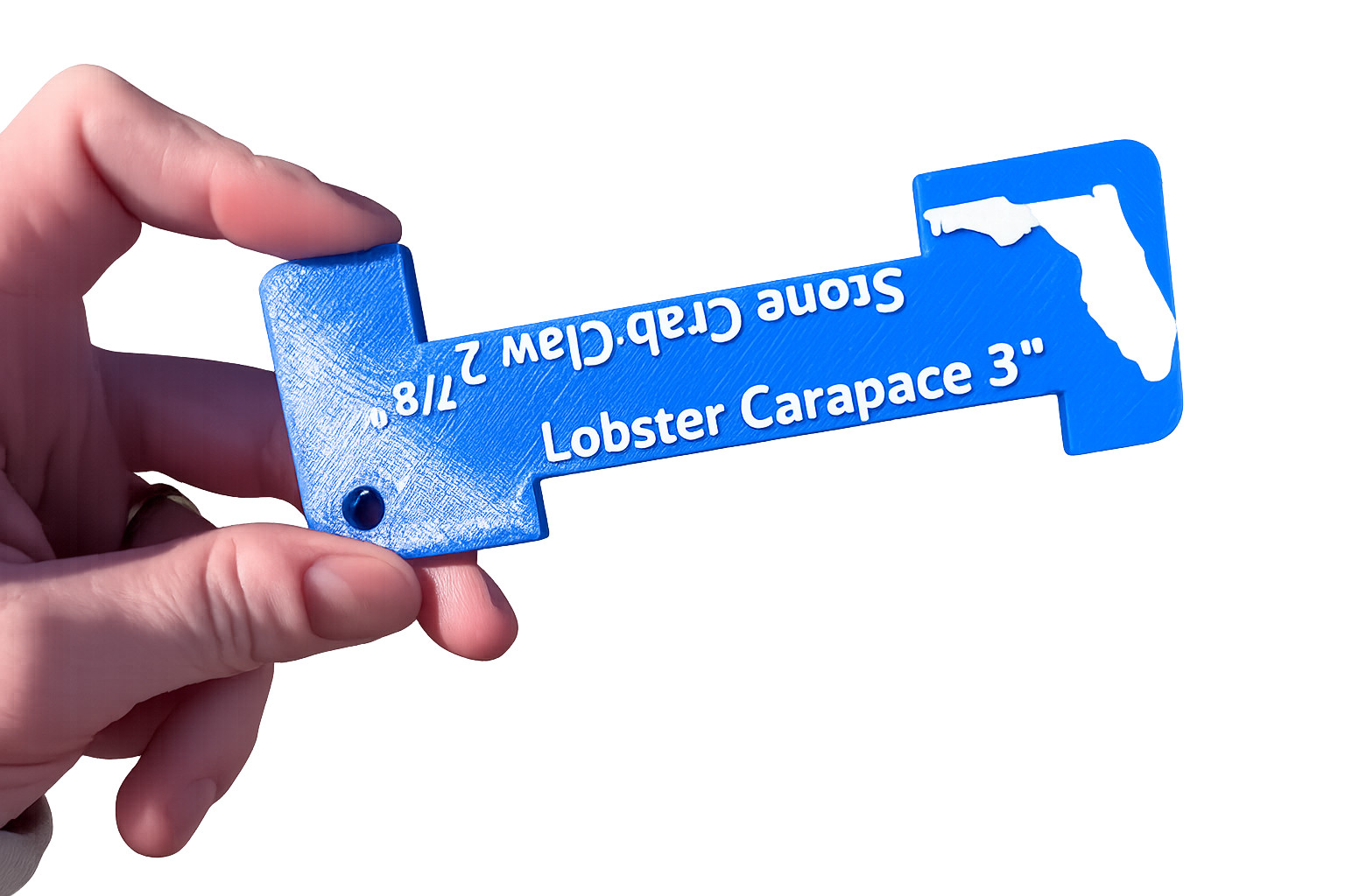 Blue Crab, Stone crab, Lobster Carapace Gauge/Measurer- Florida Legal