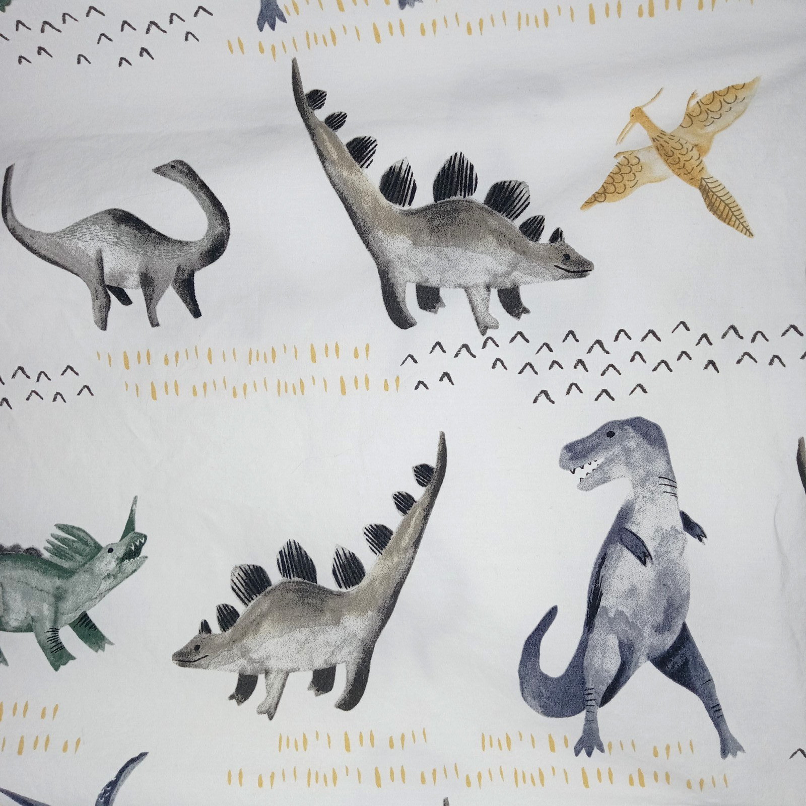 Pottery Barn Kids Organic Cotton Pillowcase Standard Size Boys Dinosaur Theme