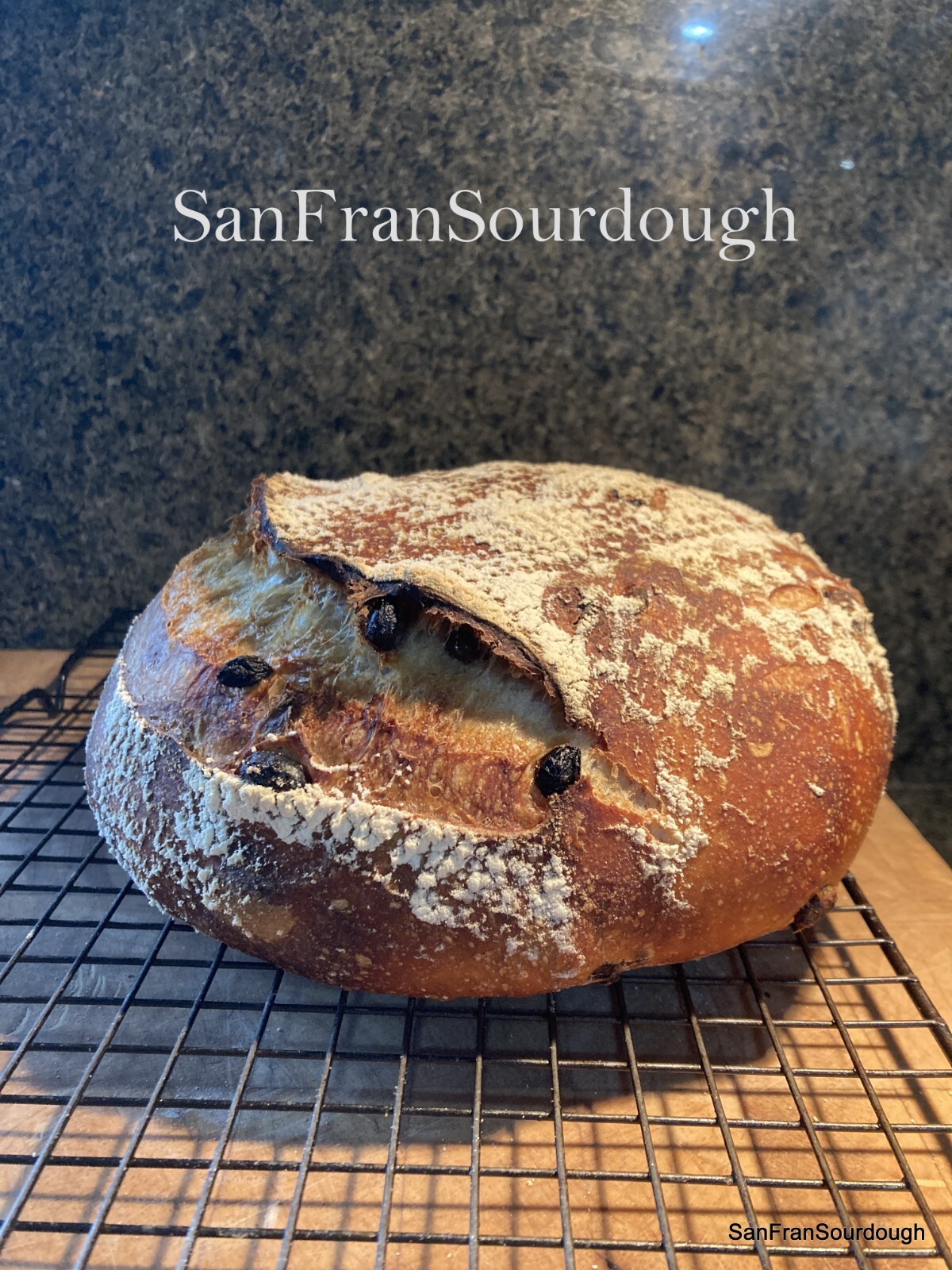 Active Dried Sourdough Starter San Francisco Yeast Bacteria baking bread