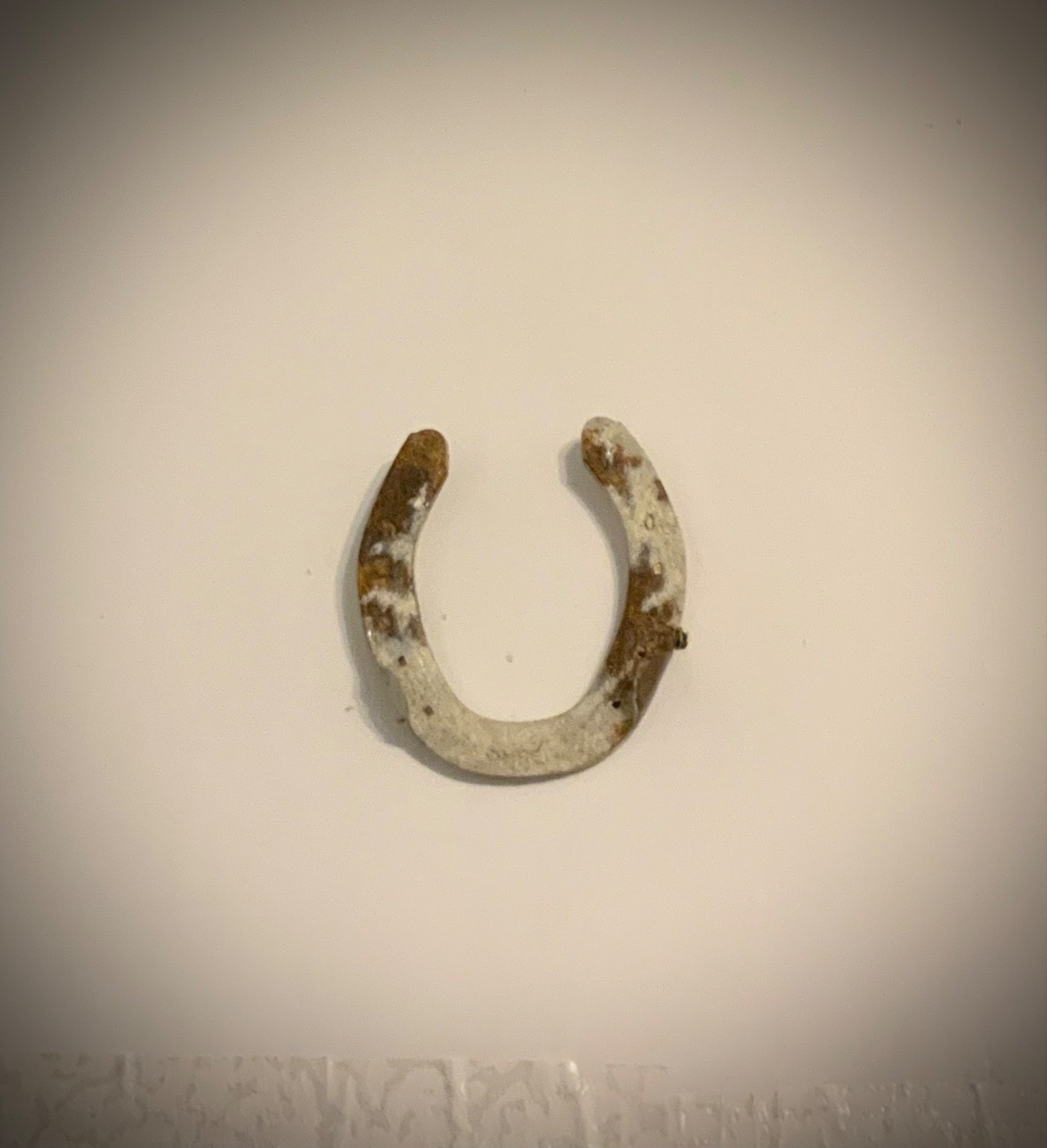 Authentic Lucky Horseshoe