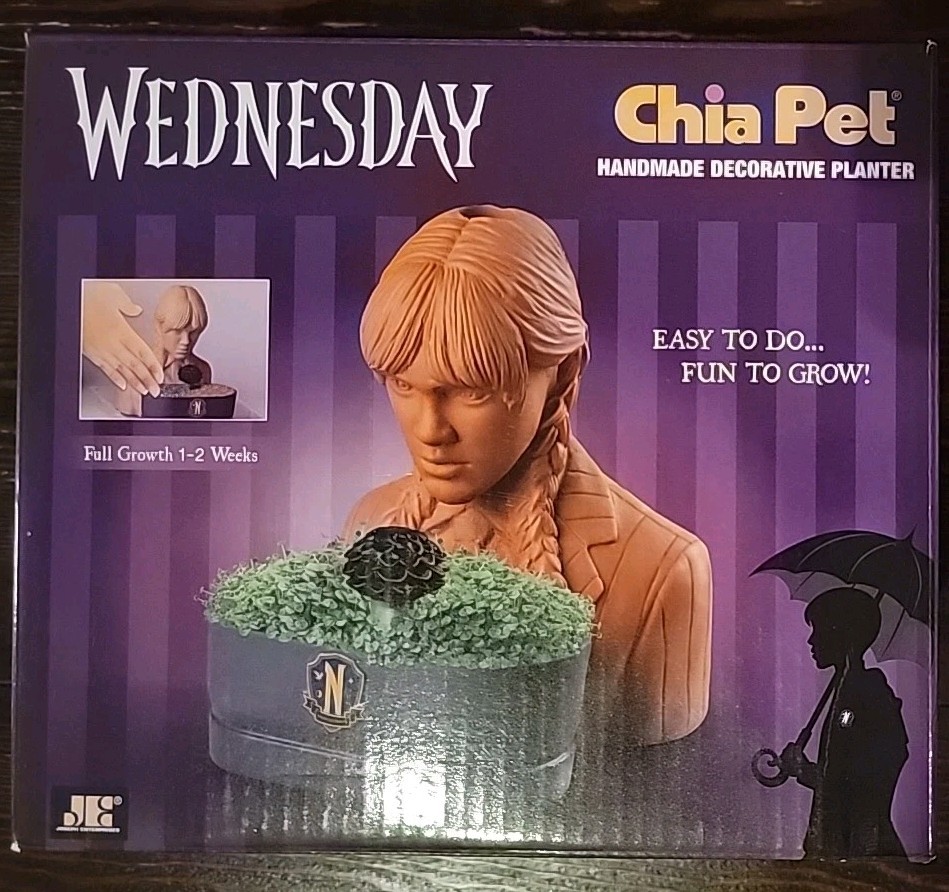 Chia Pet Wednesday Addams Family Decorative Pottery Planter  By Joseph NEW