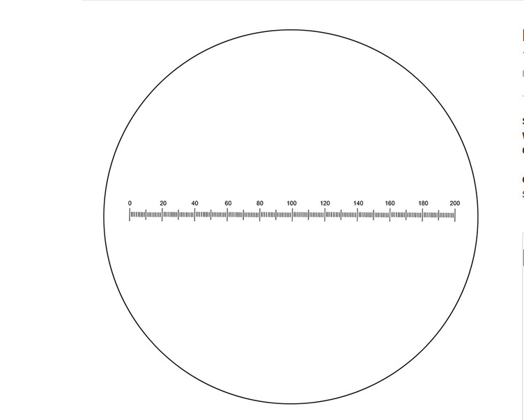 WILD LEICA MEASURING RETICLE 0-200(20PER DIV) IN HOLDER FOR WILD STEREO EYEPIECE