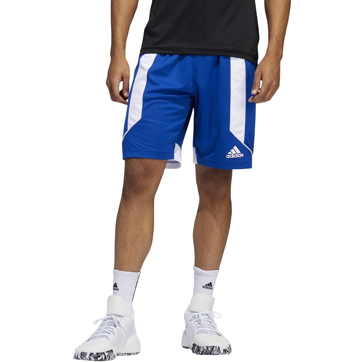 adidas Creator 365 Shorts-Men's Basketball - Royal