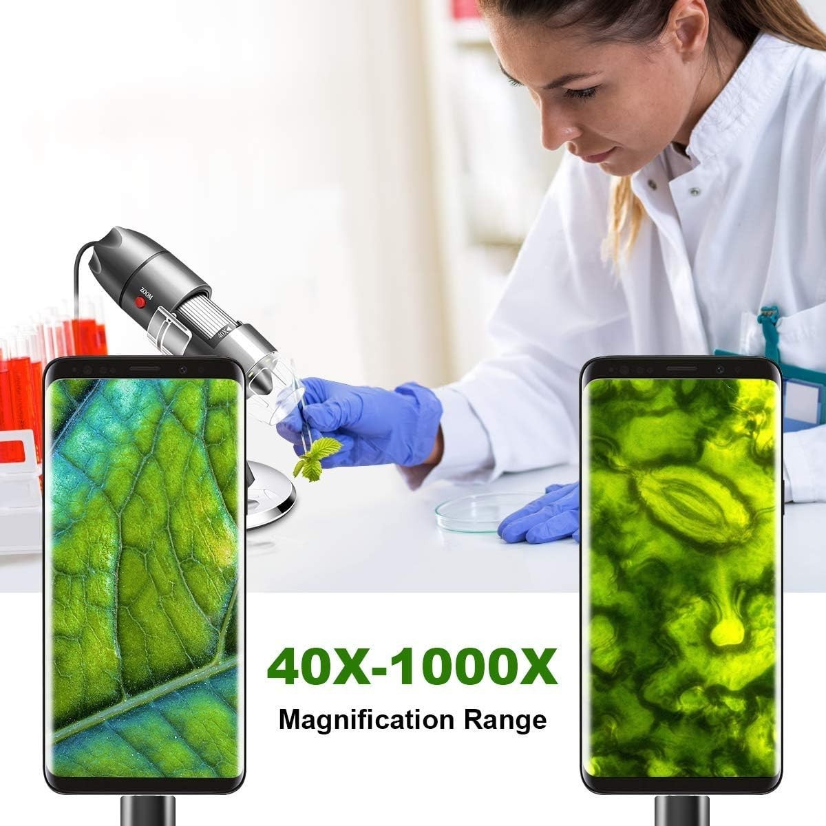 USB Microscope Camera with Stand & Carrying Case, Digital Microscope Compatib...