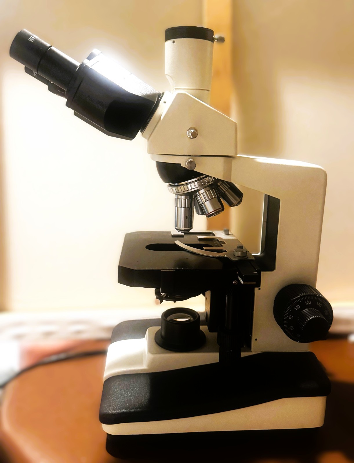 VWR VistaVision Upright Compound Microscope