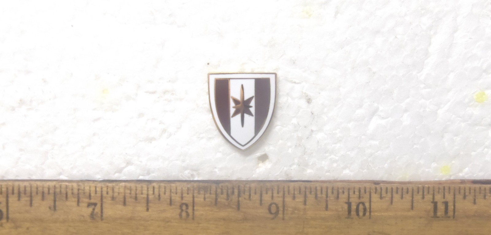 US Army  - 44th Medical Brigade Pin