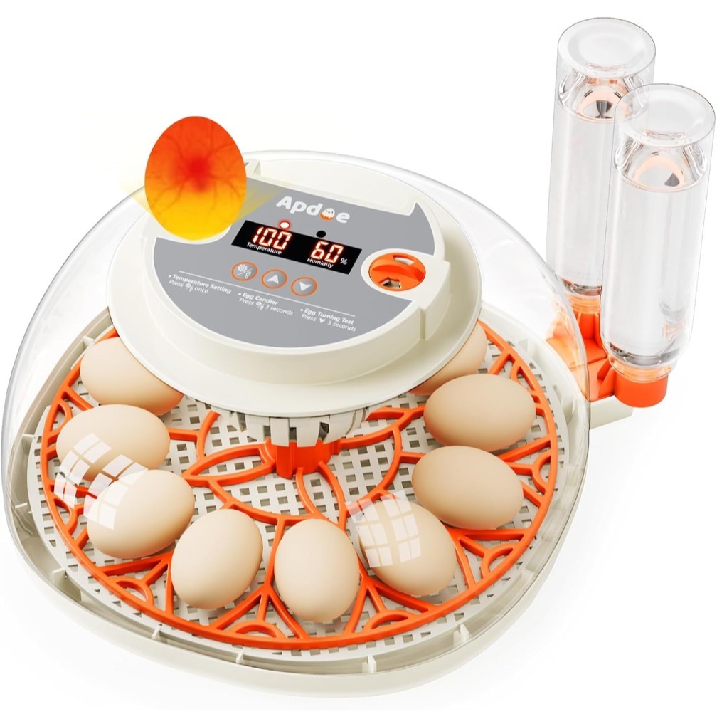 APDOE Egg Incubator for Hatching Eggs 12 Chicken & 30 Quail Eggs Auto Turning-OB