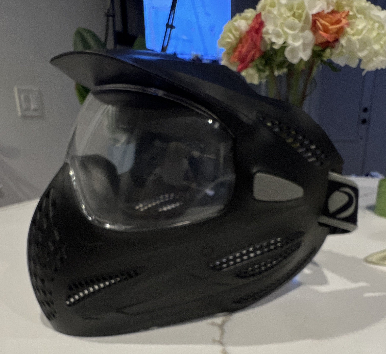 Dye SE Paintball Full Face Mask Goggles w/ Clear Lens, Adult One Size, Black