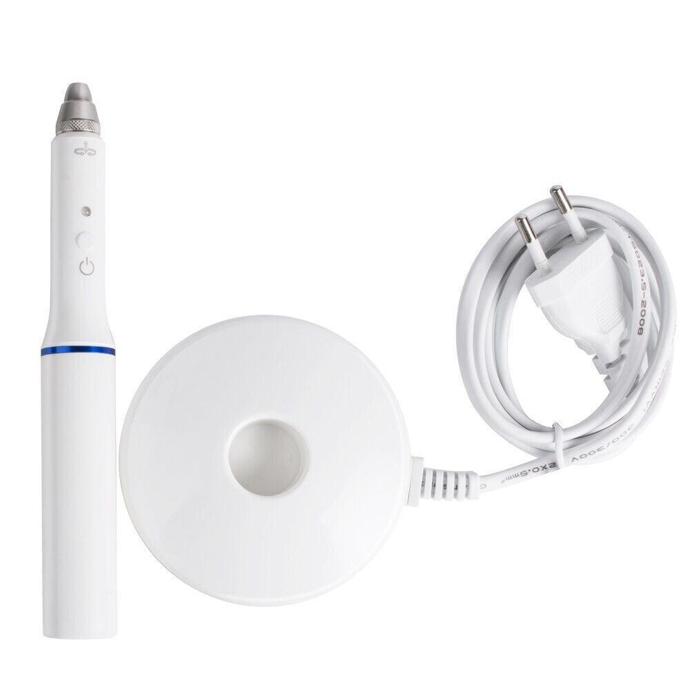 Endodontic Heated Pen for Dental Obturation System with Two Tips Replacement