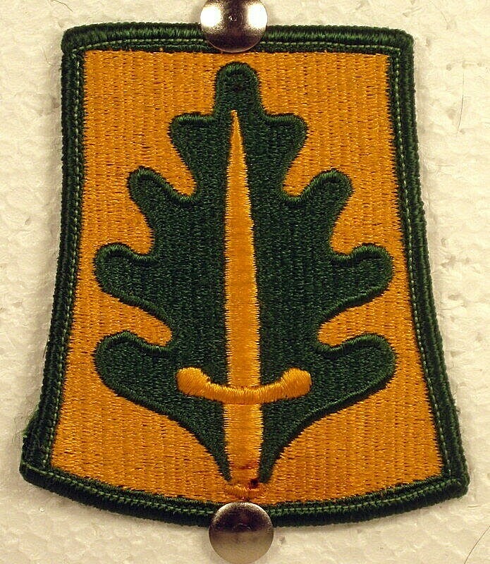 US Army 333rd Military Police MP Brigade Badge Full Color Patch Insignia Badge