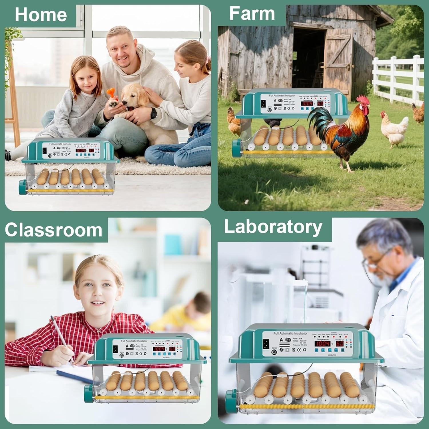Universal Forced Hatch Automatic 36 Eggs Air Incubator Egg Tray Eggs Machine