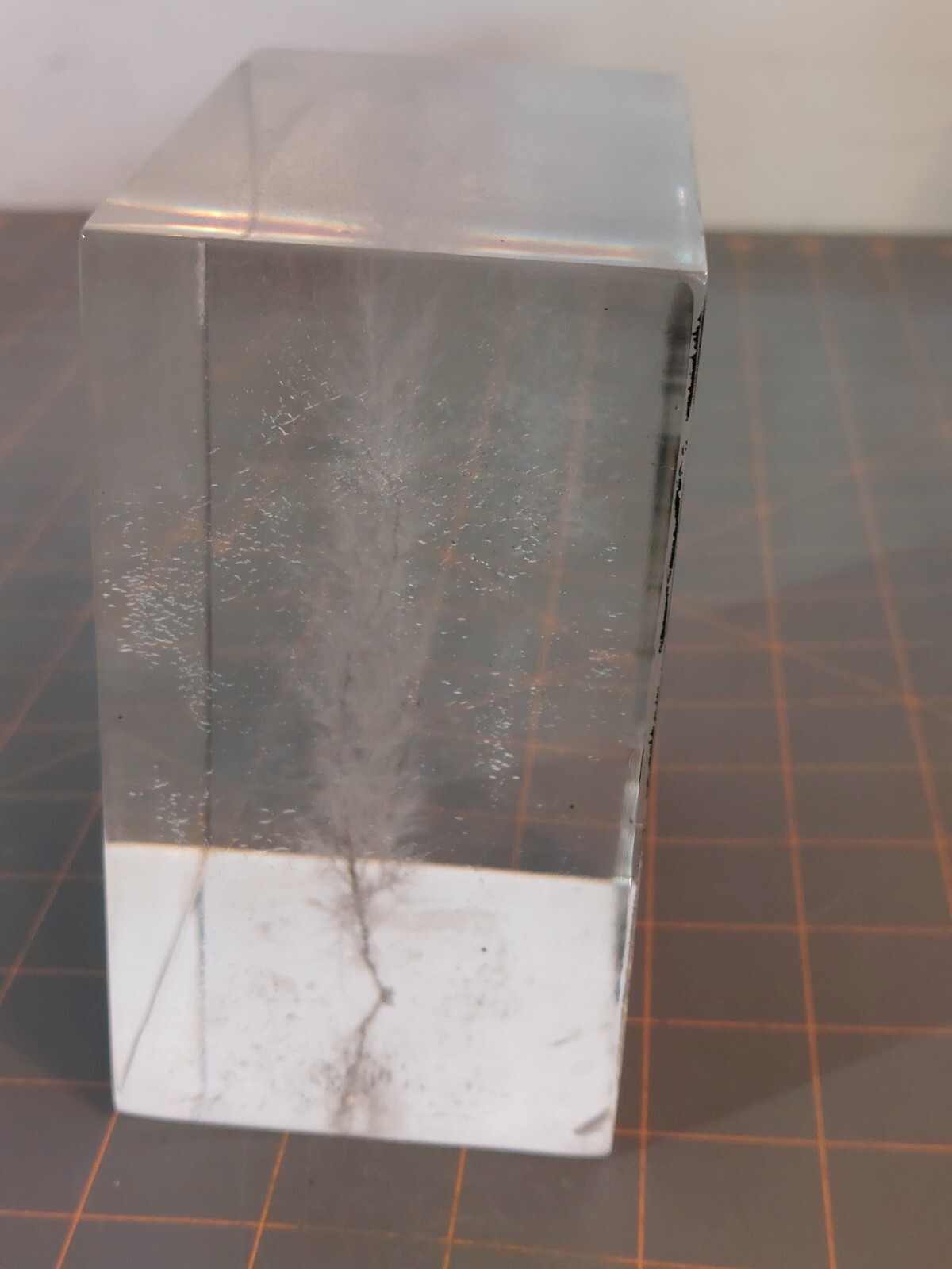 Captured Lightning Lichtenberg Figure Electron Tree Paperweight