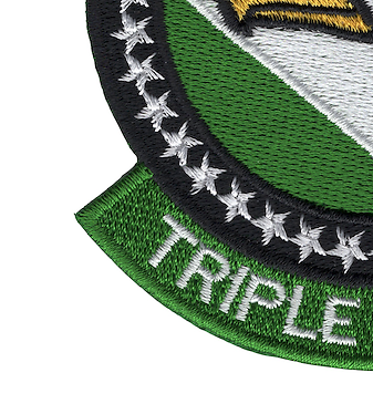 555th Fighter Squadron Patch