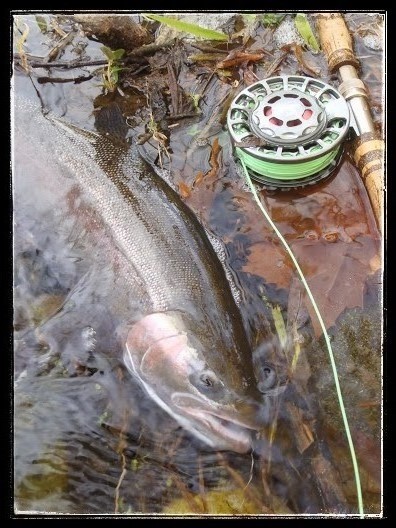 Irideus Conehead Camo Blueberry Wooly Bugger Streamer flies Trout Fly Fishing