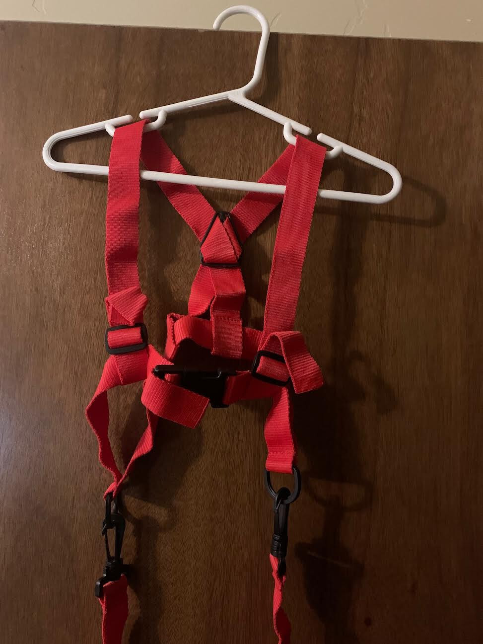 Youth Kids Wee Ski Harness by RC Sport red