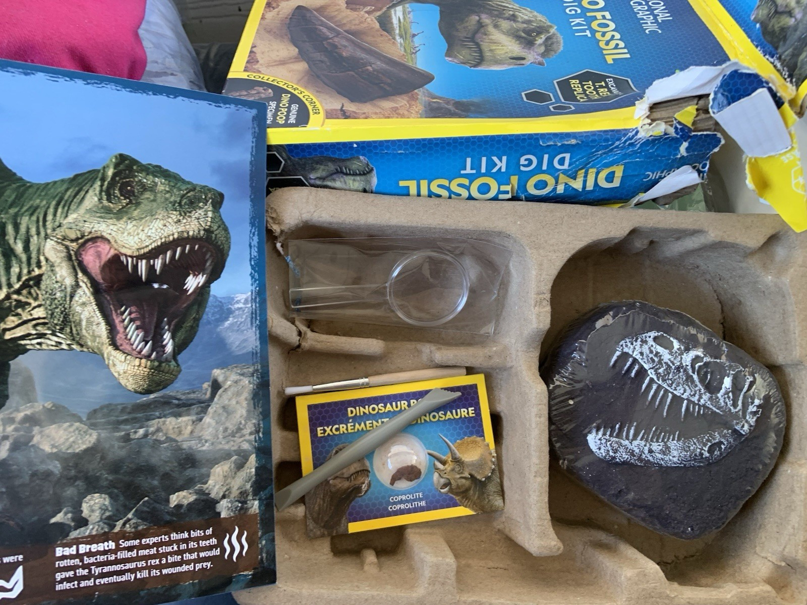 National Geographic Dino Fossil Dig Kit STEM Unearth T-Rex Tooth Replica