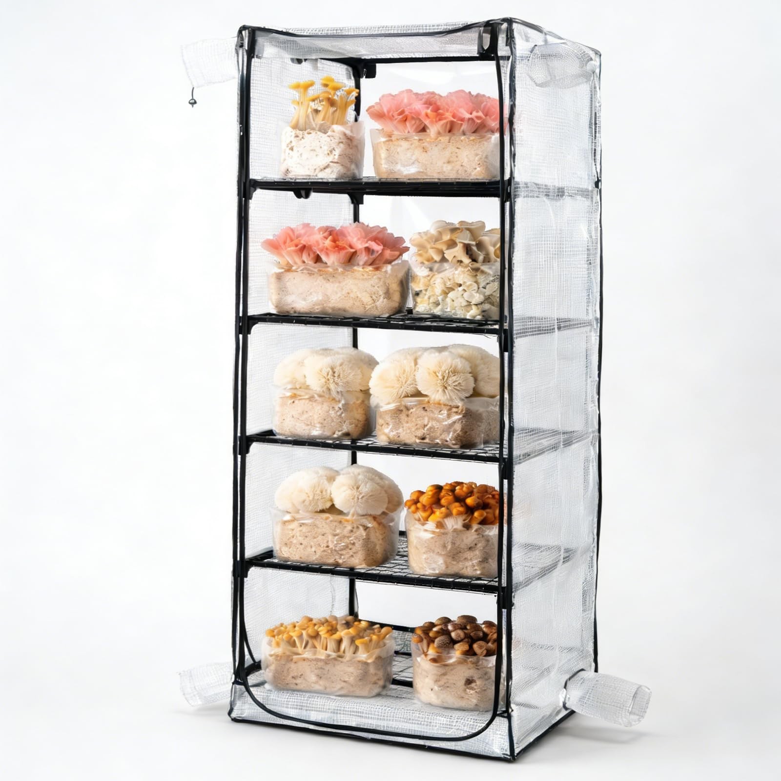 Mushroom Grow Tent Martha Tent Mushrooms Growing kit Mini Greenhouse Indoor
