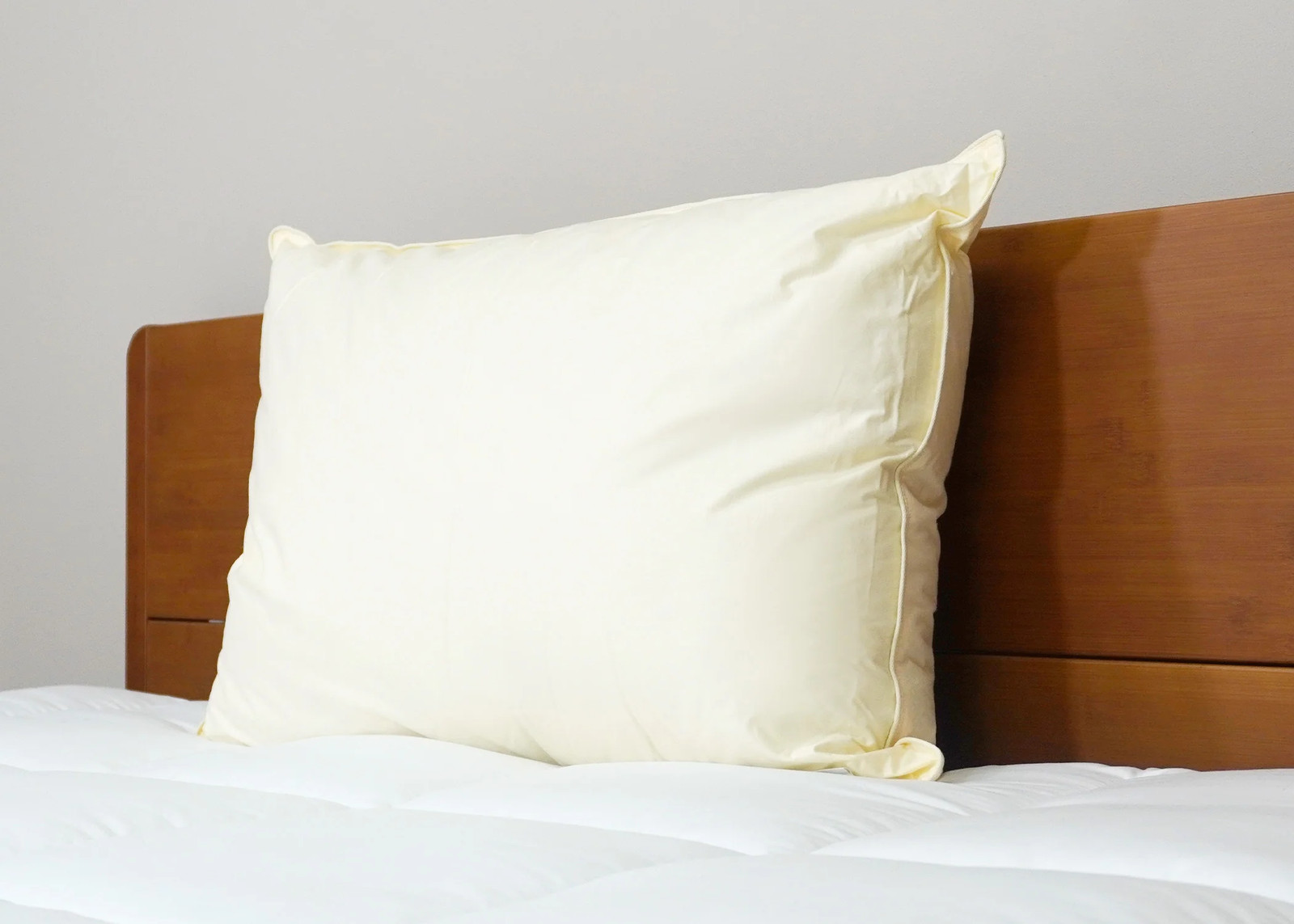 Down Etc. Aquaplush Pillow