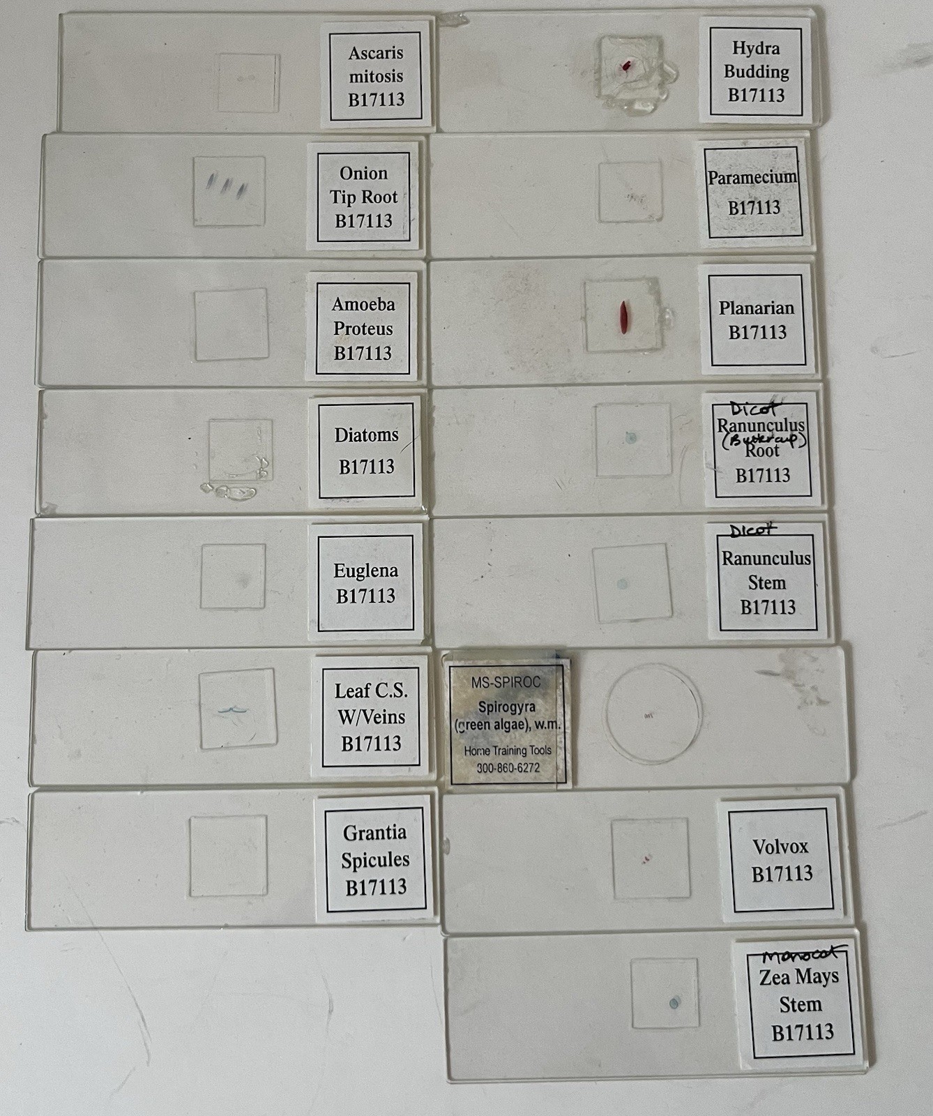 Apologia Biology Microscope Incomplete Slide set 1 & plastic case 15 slides GUC
