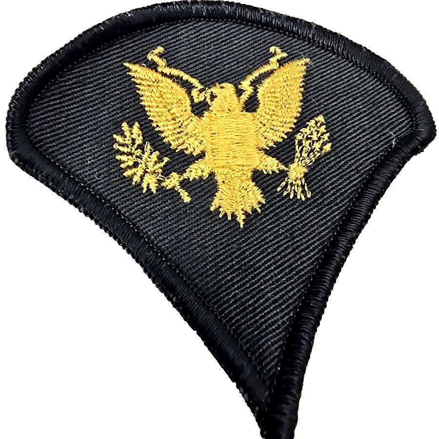 Patch US Navy Reserve A-4 Skyhawks Dirty Bird Uniform Military Black Gold Eagle