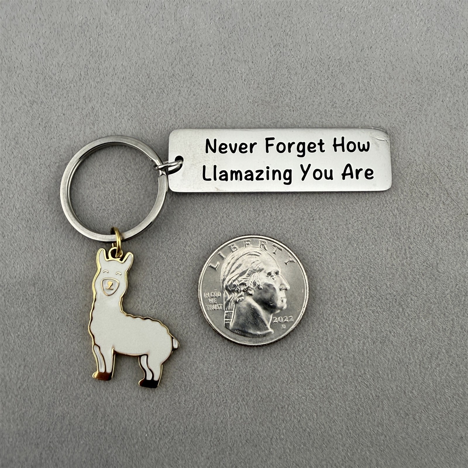 Cute Llama Never Forget How Llamazing You Are Funny Keychain Key Ring #62840