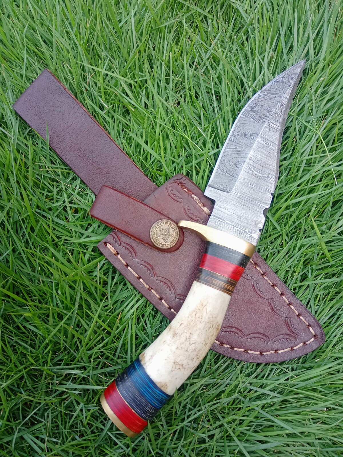 8” CUSTOM DAMASCUS STEEL HUNTING SKINNING SURVIVAL KNIFE STAG ANTLER HANDLE x598